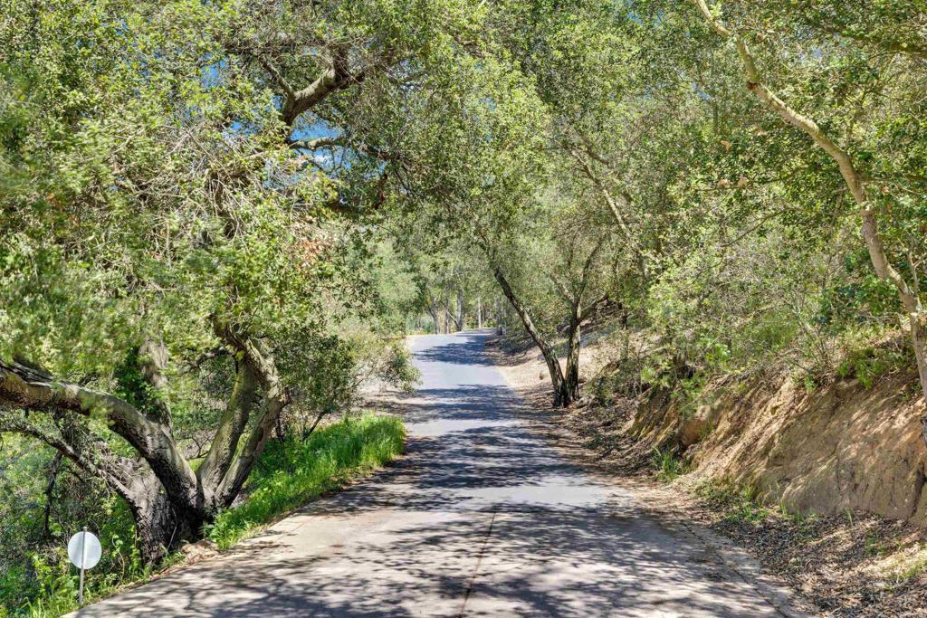 15711 Salida Del Sol