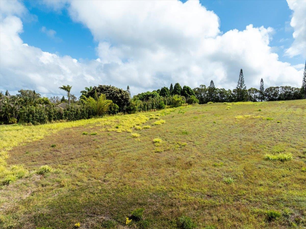 214 KEOAWA St Unit: 15
