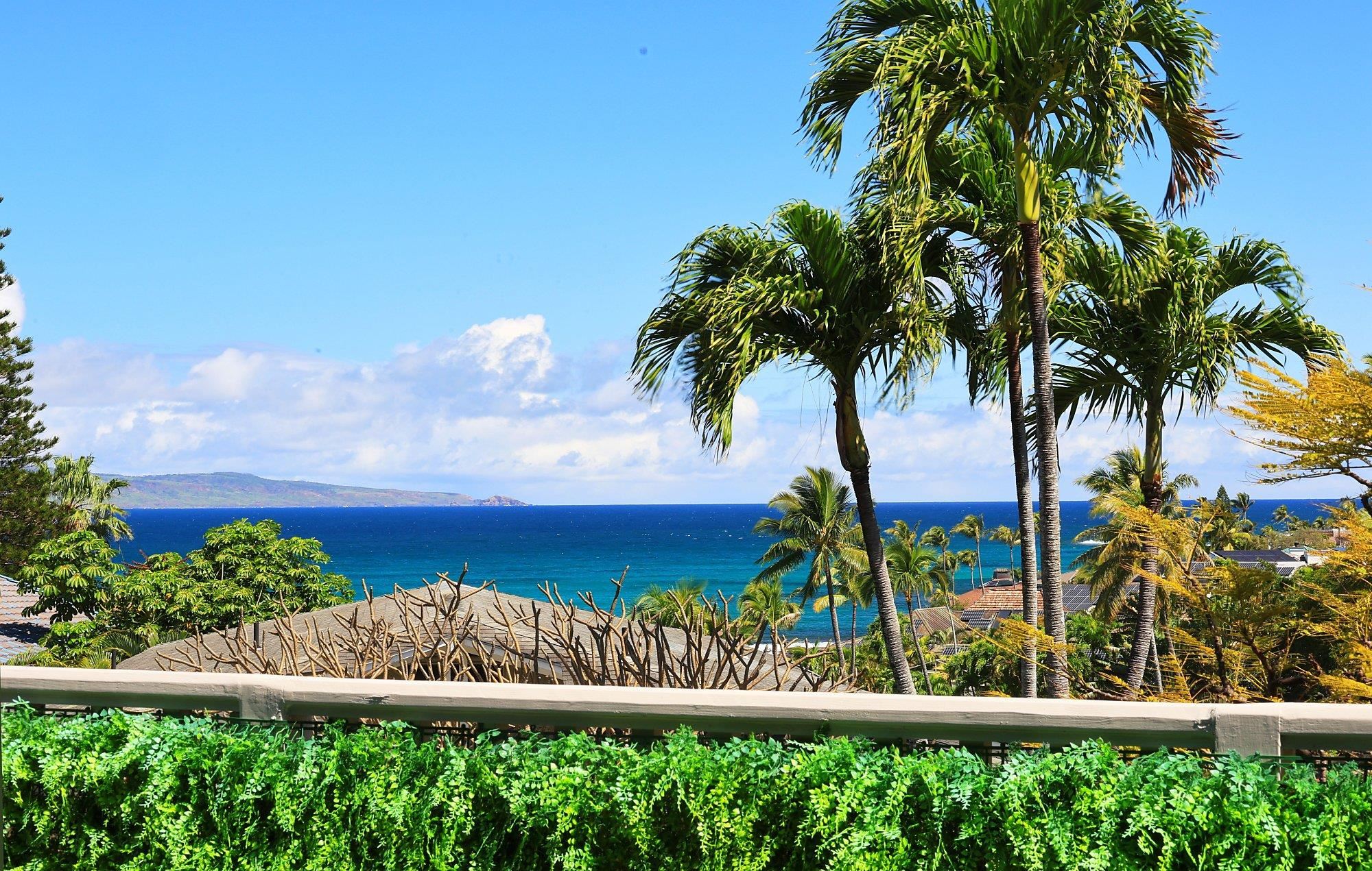 5045 LOWER HONOAPIILANI Rd Unit: 2