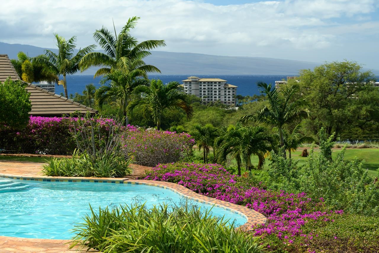 104 ANAPUNI Loop