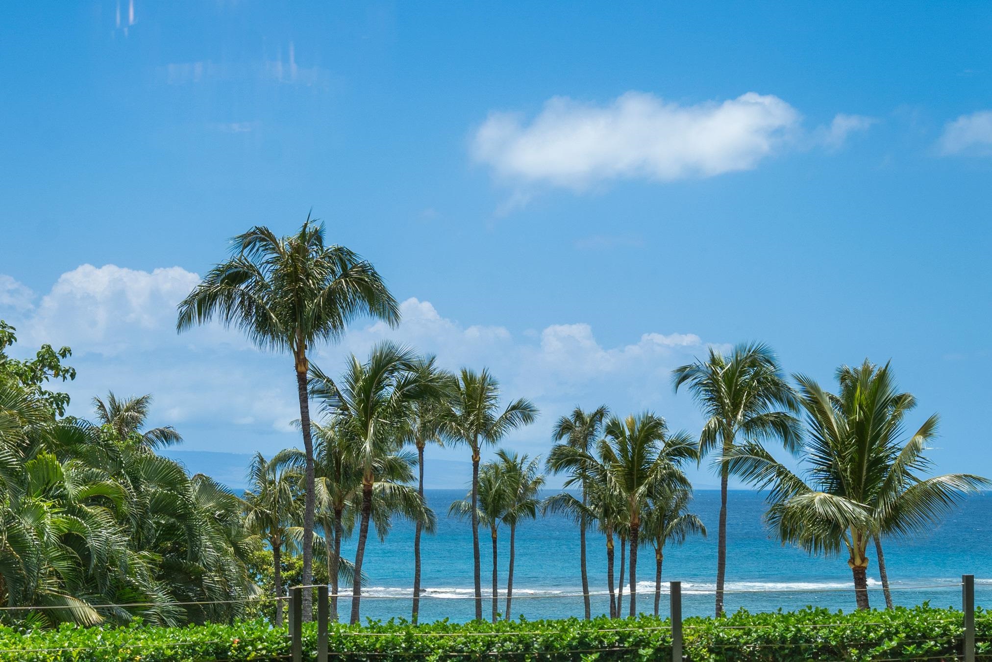 1 BAY Dr Unit: 5102