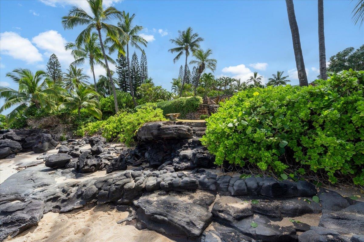 4025 LOWER HONOAPIILANI Rd