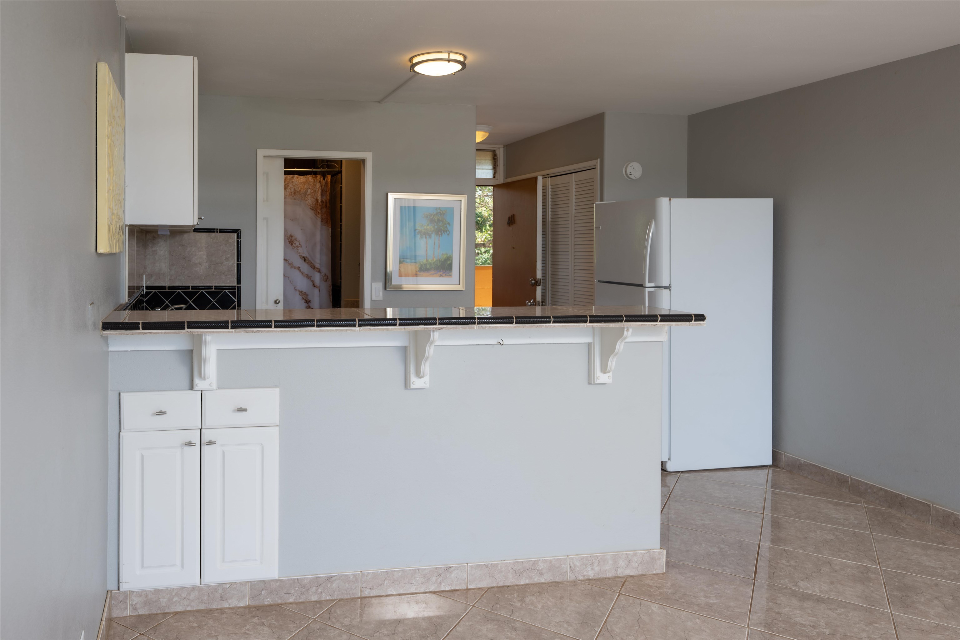 3660 LOWER HONOAPIILANI Rd Unit: 411