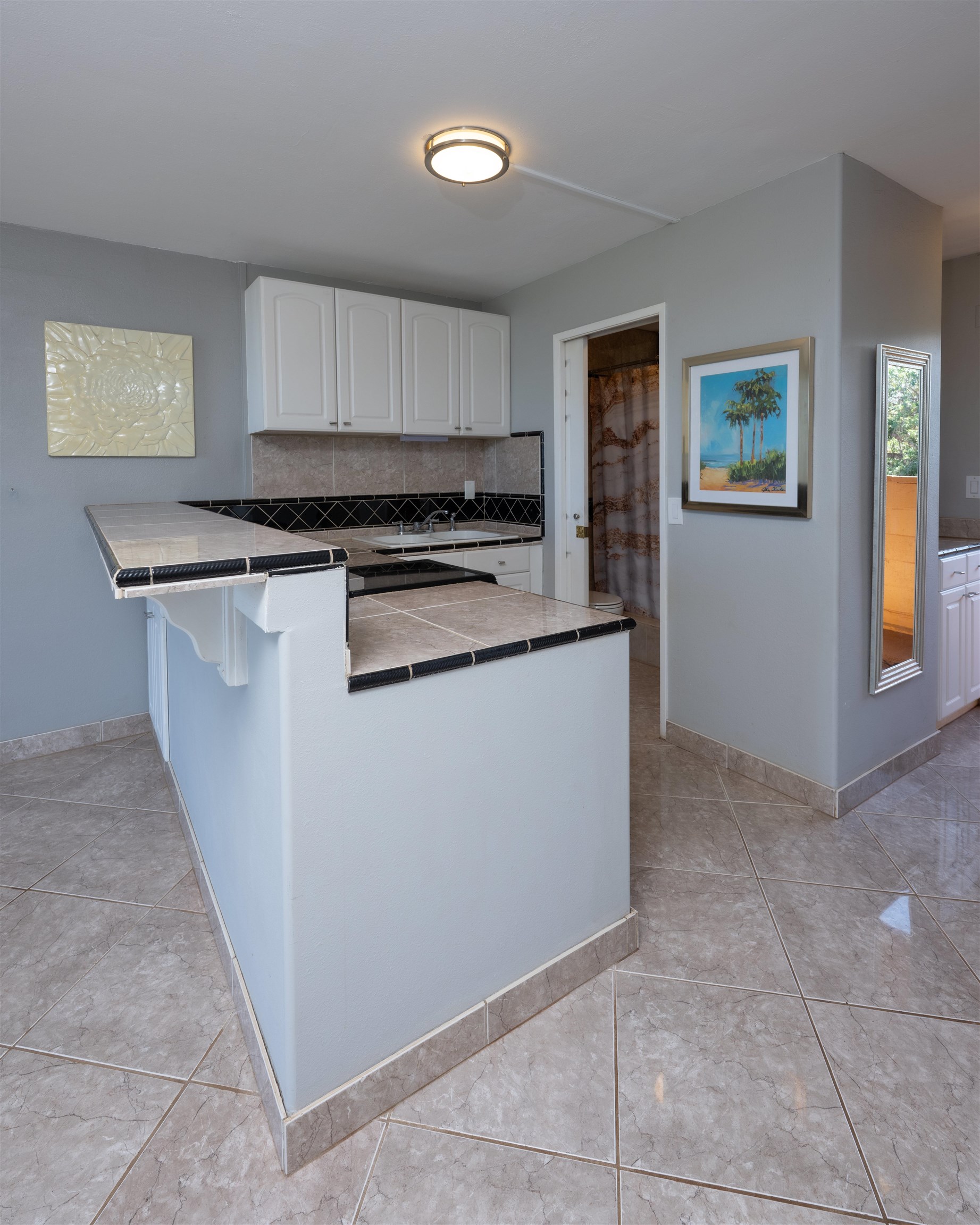 3660 LOWER HONOAPIILANI Rd Unit: 411