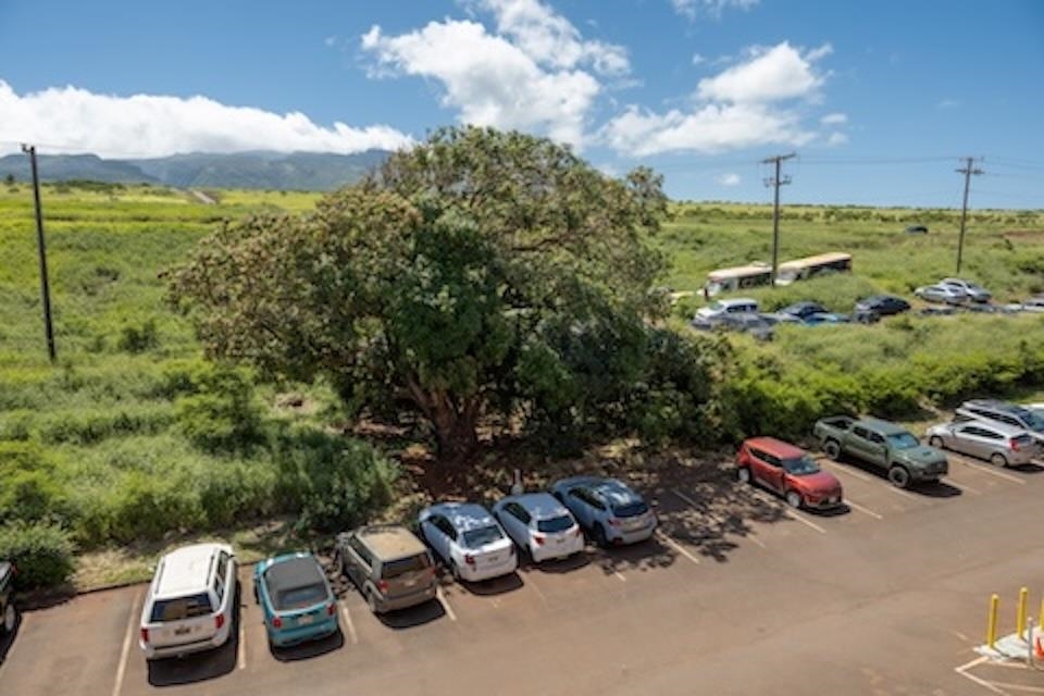 3660 LOWER HONOAPIILANI Rd Unit: 411
