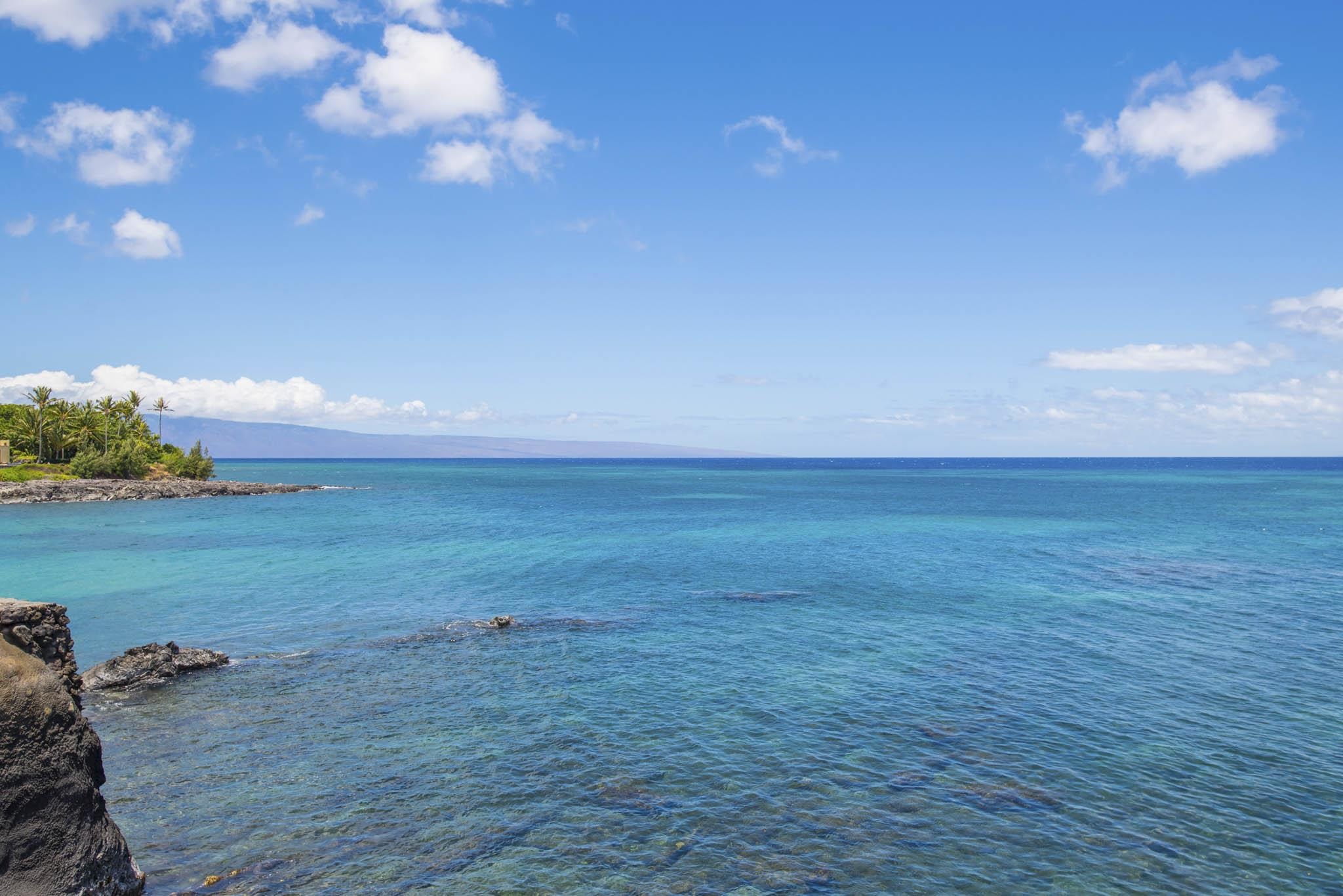 4909 LOWER HONOAPIILANI Rd Unit: A10