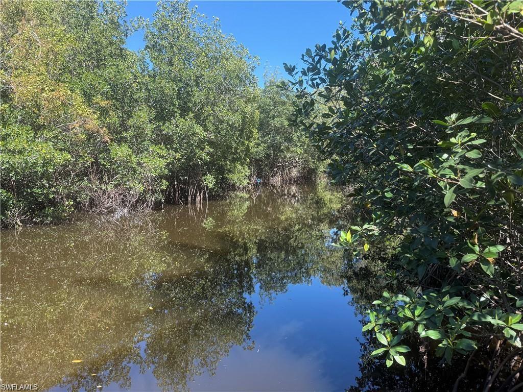 1063 Shadowlawn DR, NAPLES