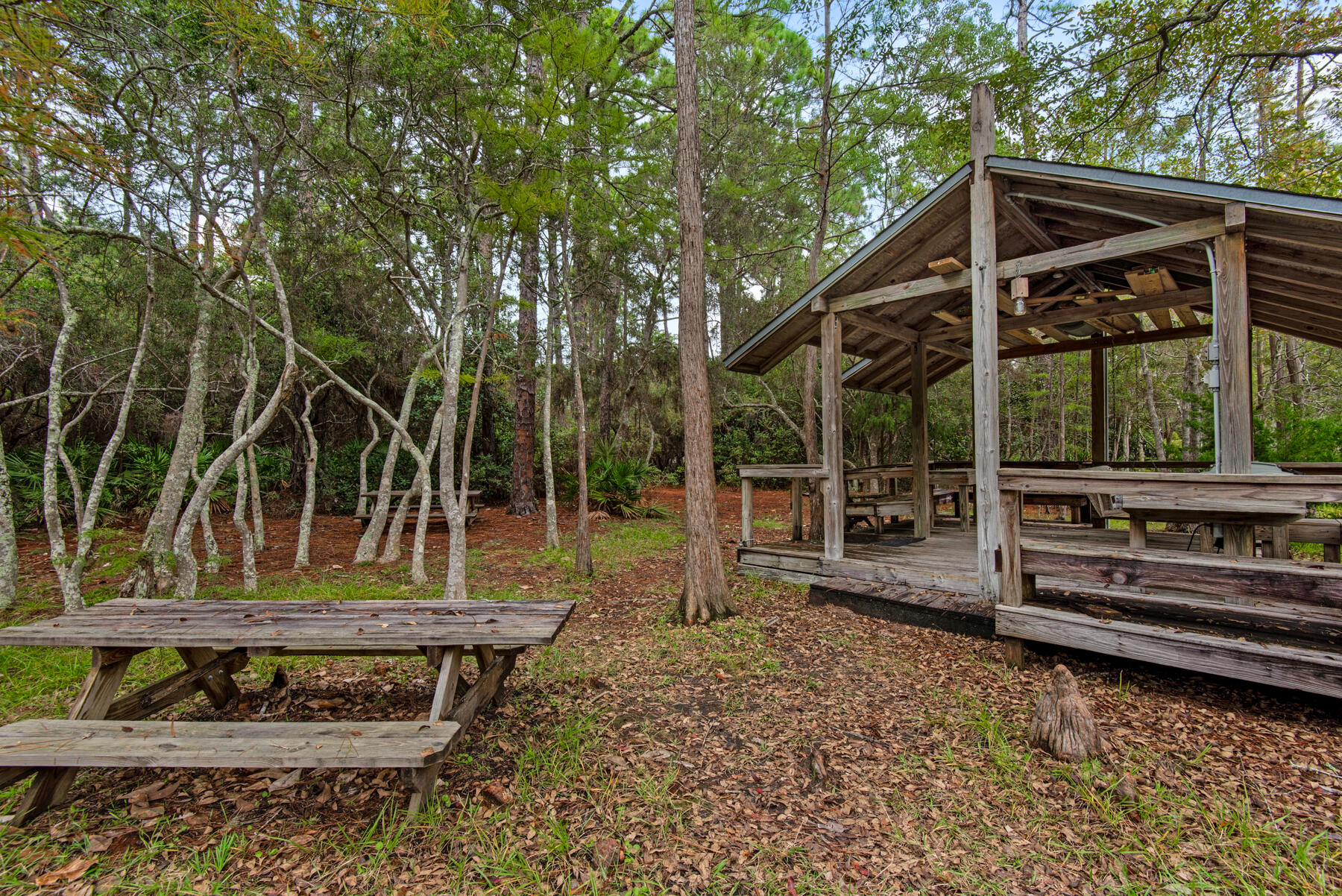 33 Cypress Street 270