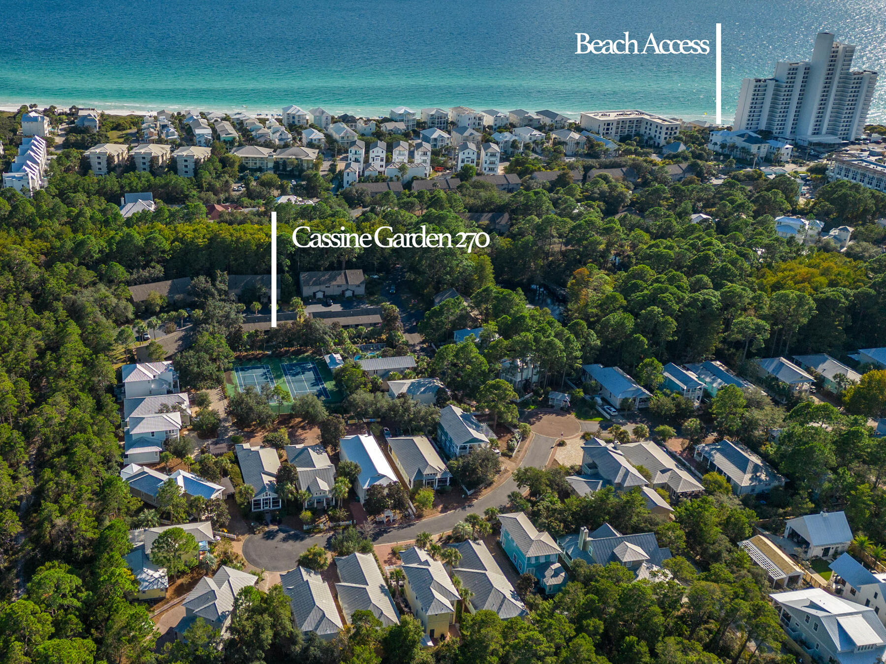 33 Cypress Street 270