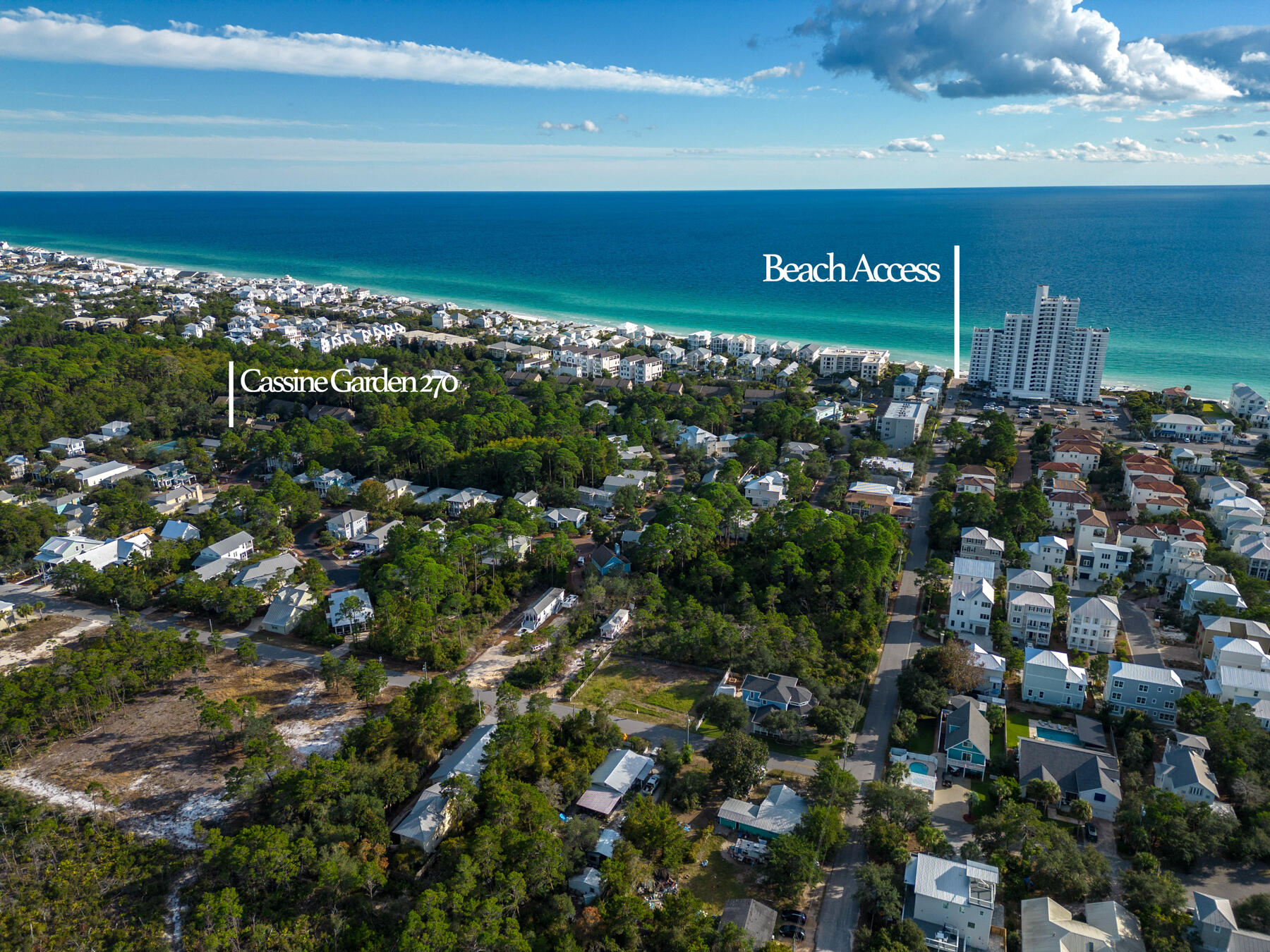 33 Cypress Street 270
