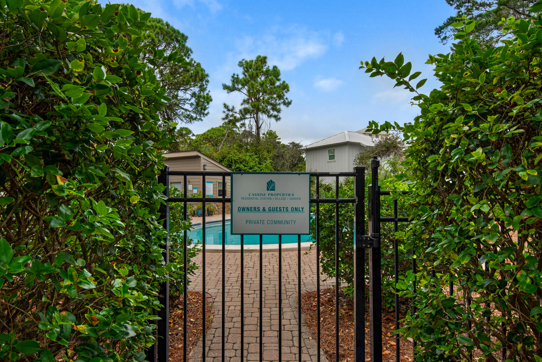 33 Cypress Street 270