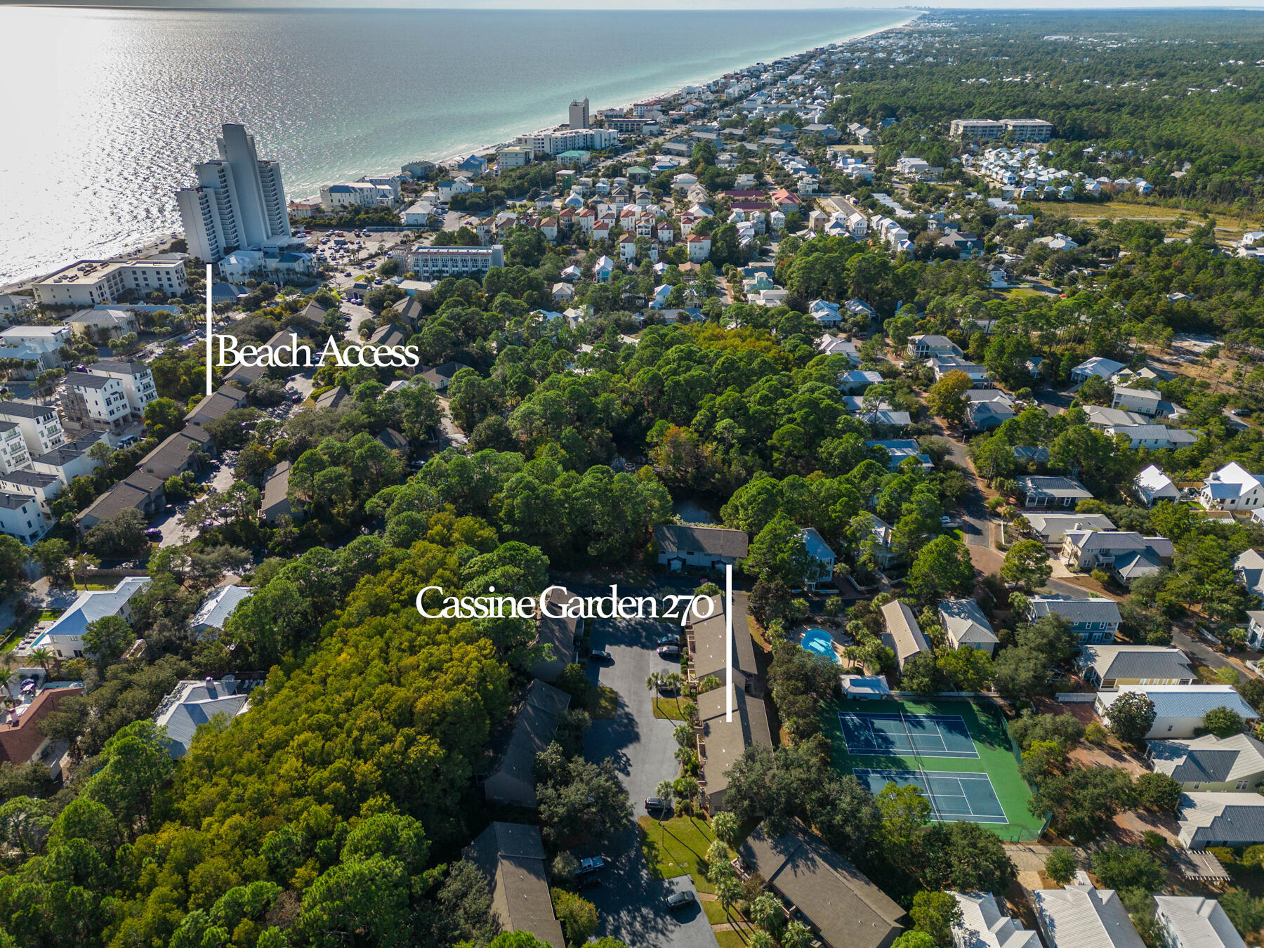 33 Cypress Street 270