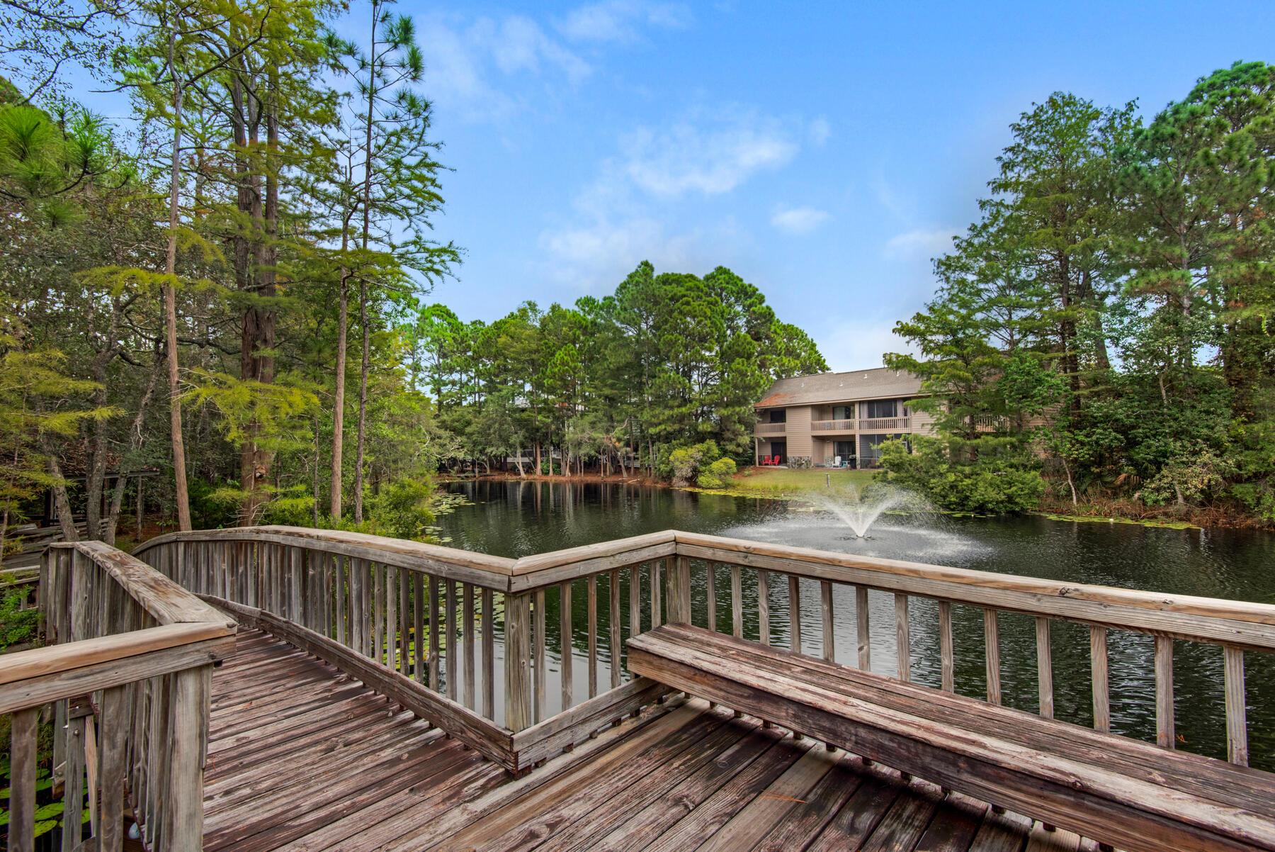 33 Cypress Street 270