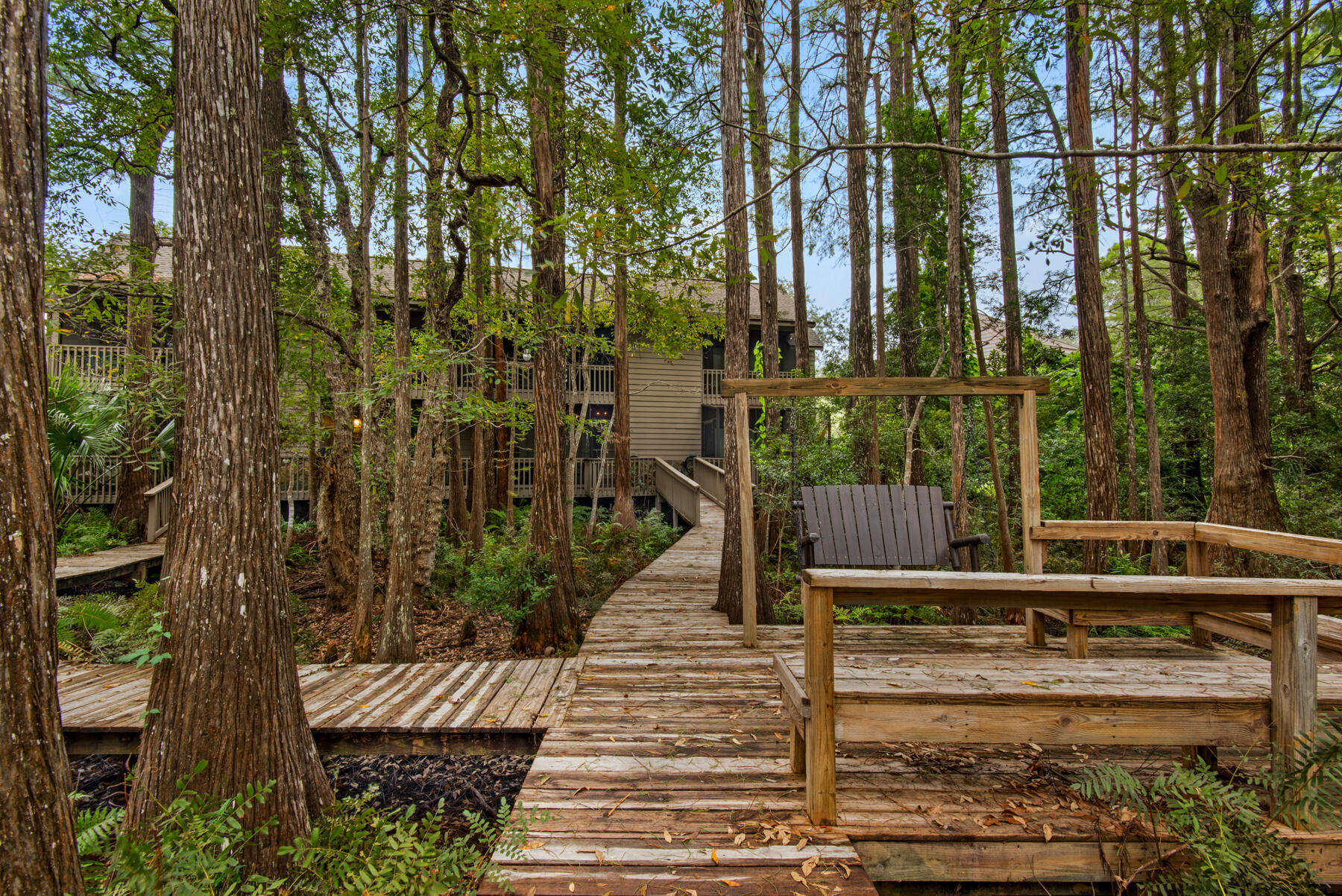 33 Cypress Street 270