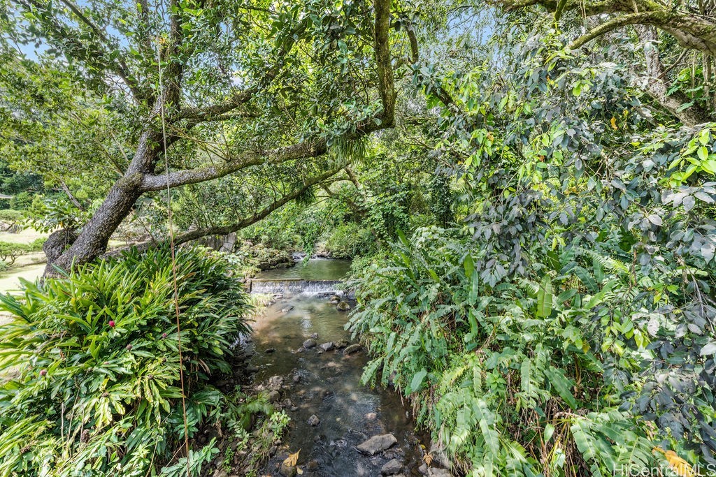 Rocky stream bordered by dense tropical greenery beneath a broad overhanging tree.