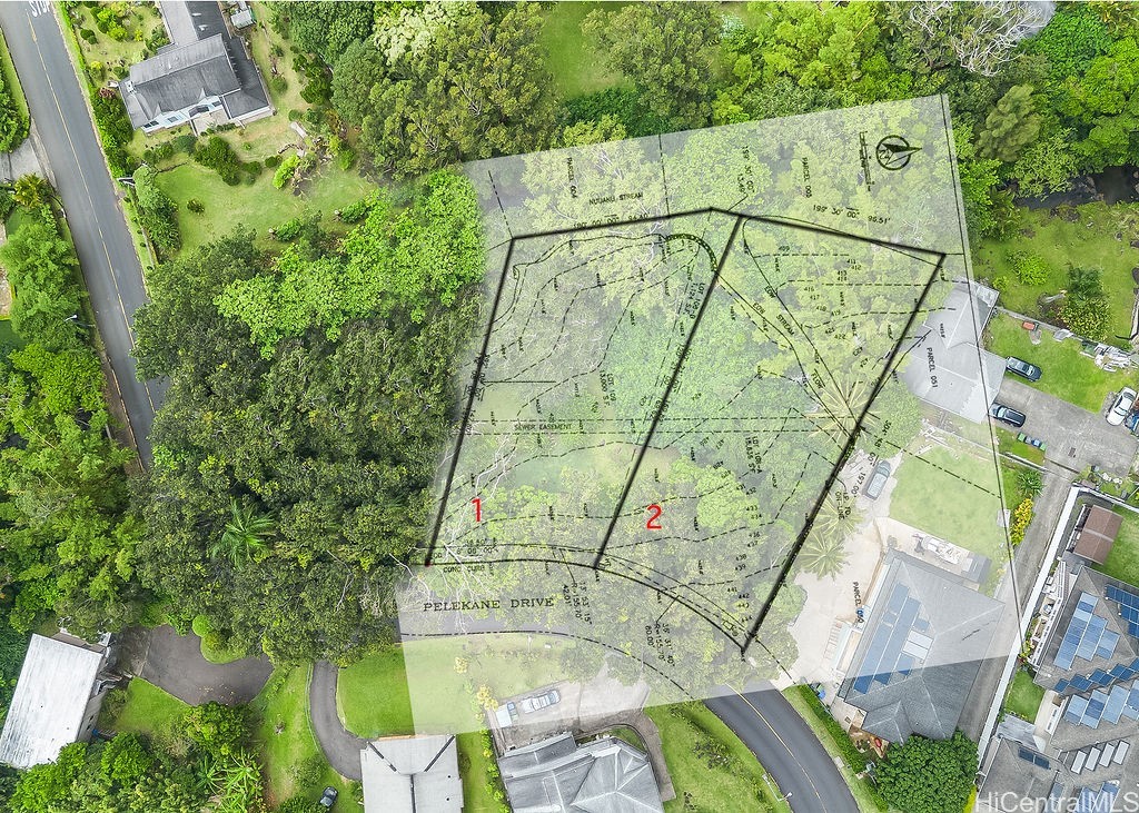 Aerial view of two wooded parcels outlined on a survey overlay along Pelekane Drive.