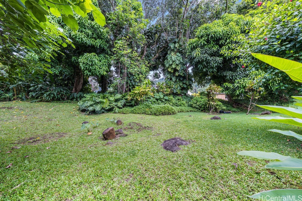 Grassy yard bordered by dense tropical plants and mature trees, with scattered rocks.