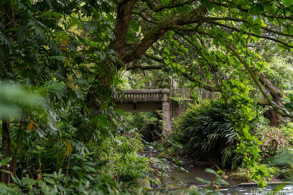 A wooded stream and small concrete bridge beneath a dense tropical canopy.