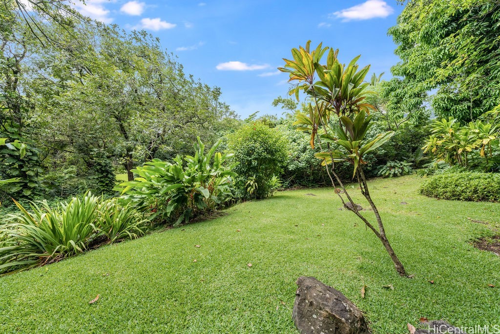 Landscaped yard with a broad lawn, tropical foliage, and a young palm-like tree.