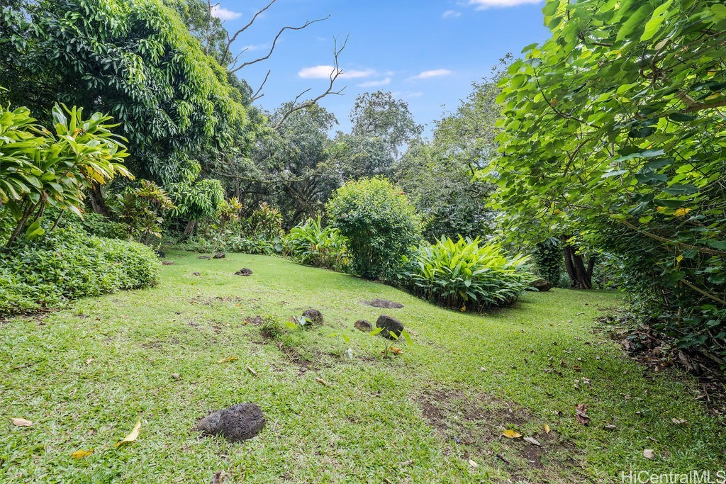 Grassy yard surrounded by dense tropical plants and mature trees, with scattered rocks on the lawn.