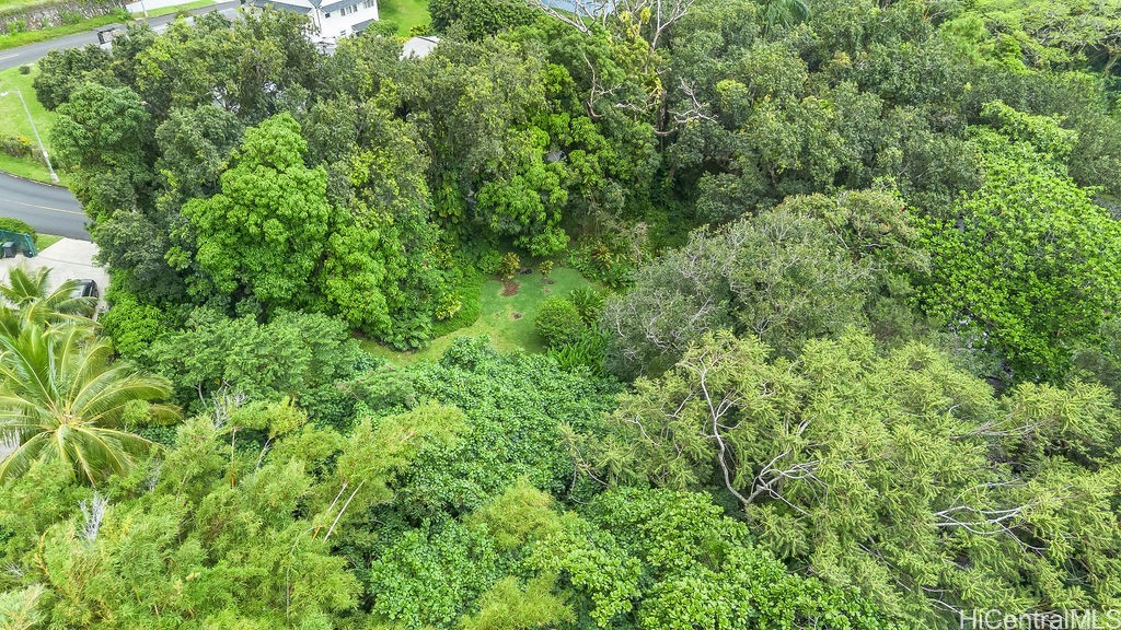 Aerial view of a densely wooded Honolulu property with a small grassy clearing.
