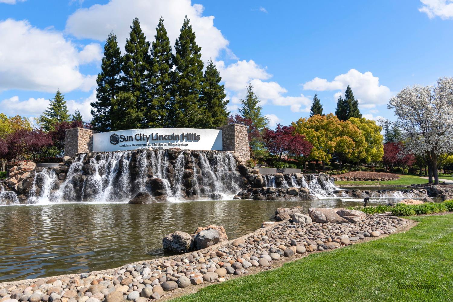 1550 Summerhill Lane