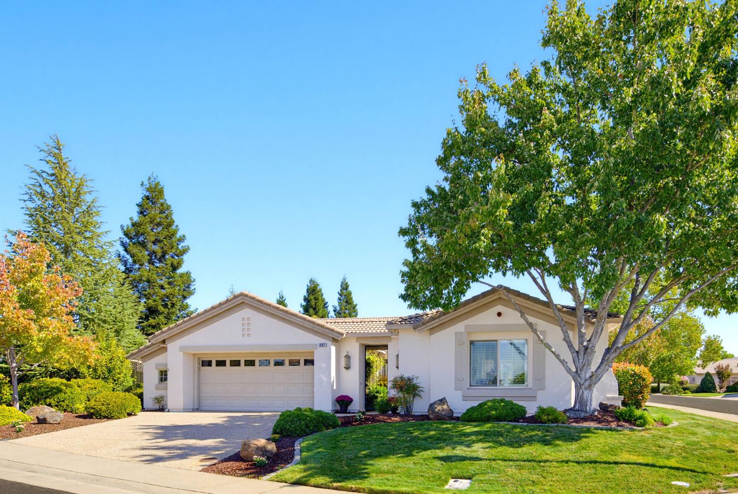 807 Carrousel Court