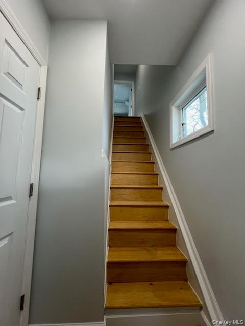 21 Randall Avenue