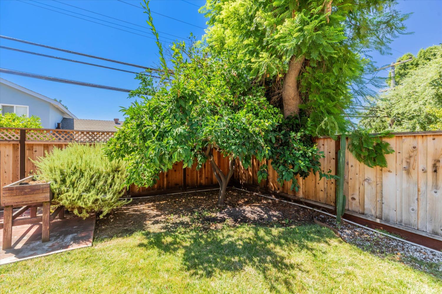 208 Blossom Hill Roaad