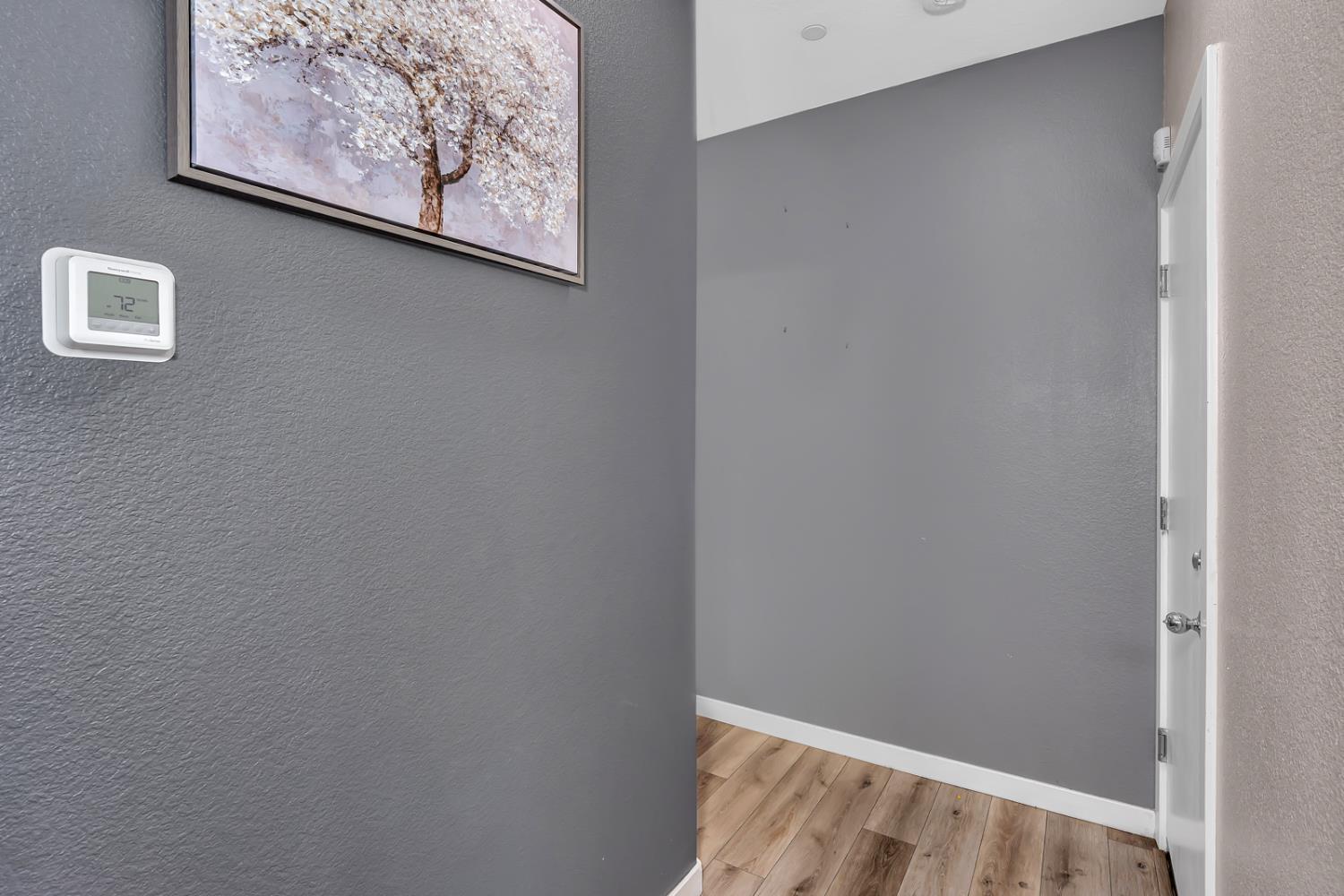 1805 Spadafore Street