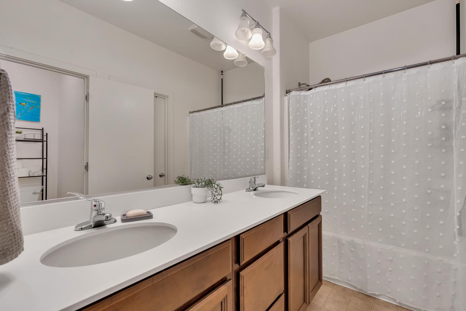 1805 Spadafore Street