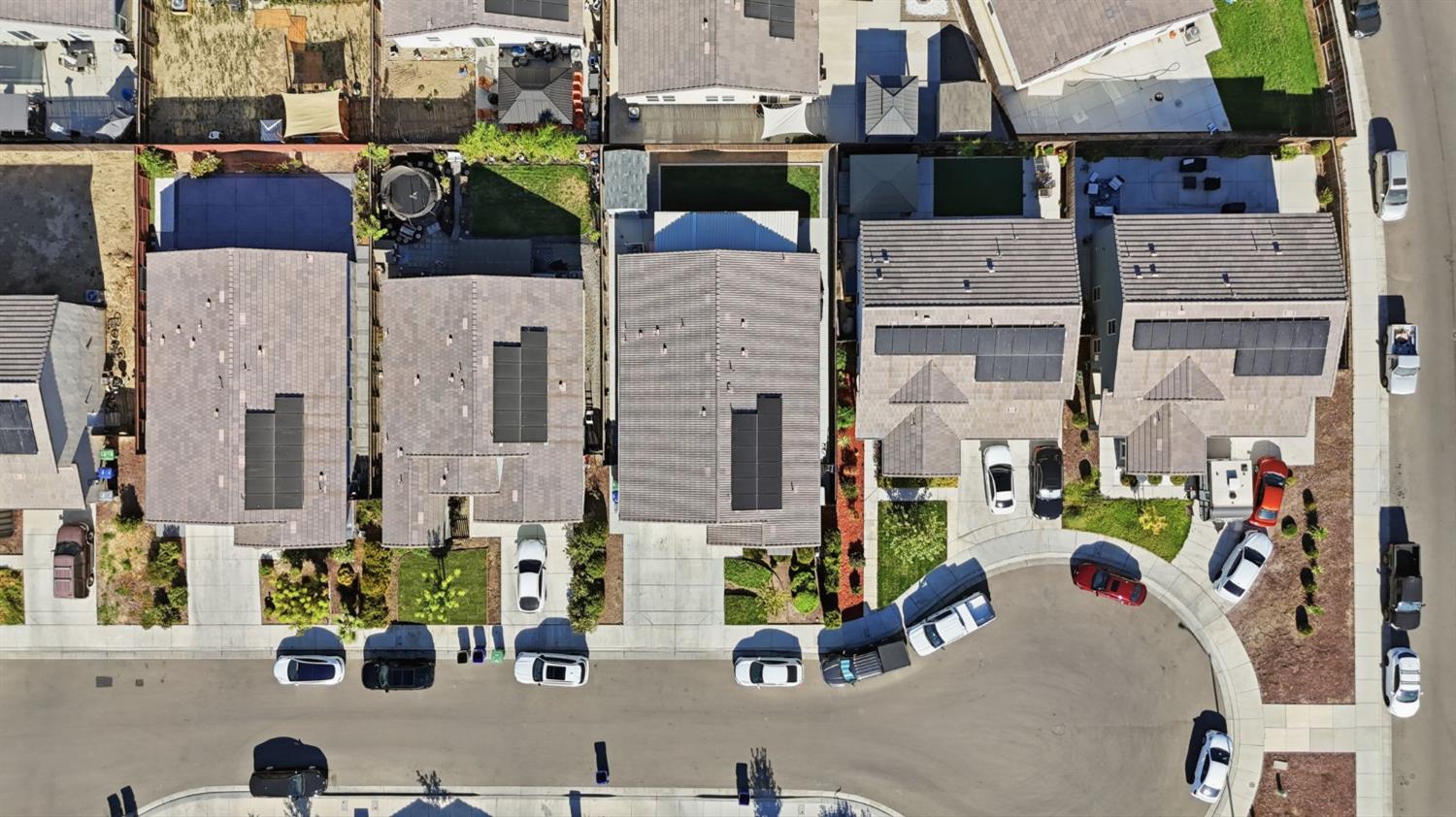 2010 Palazzo Court