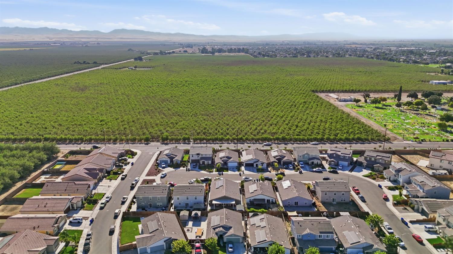 2010 Palazzo Court