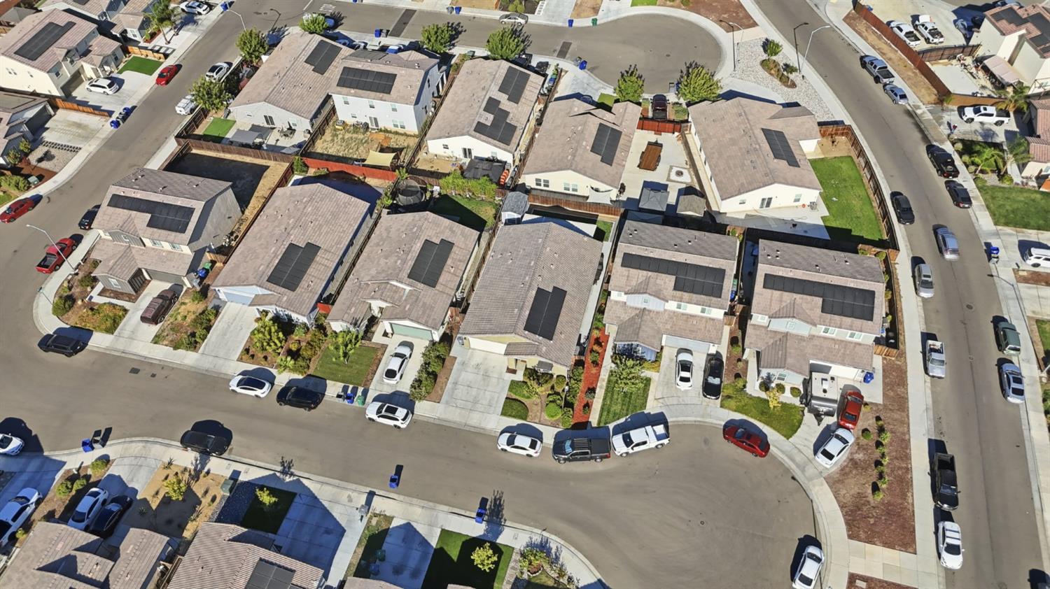 2010 Palazzo Court