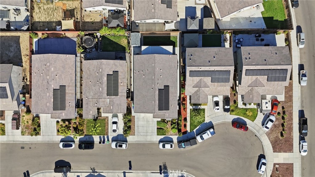 2010 Palazzo Court