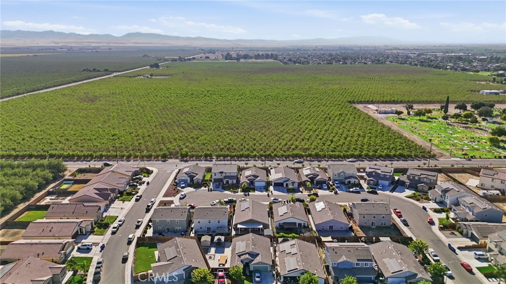 2010 Palazzo Court