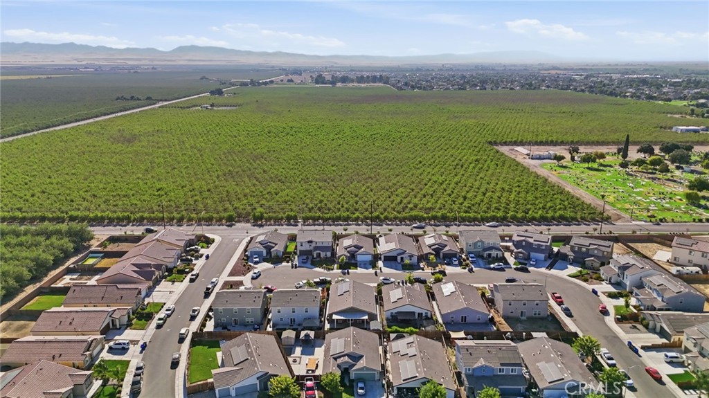 2010 Palazzo Court