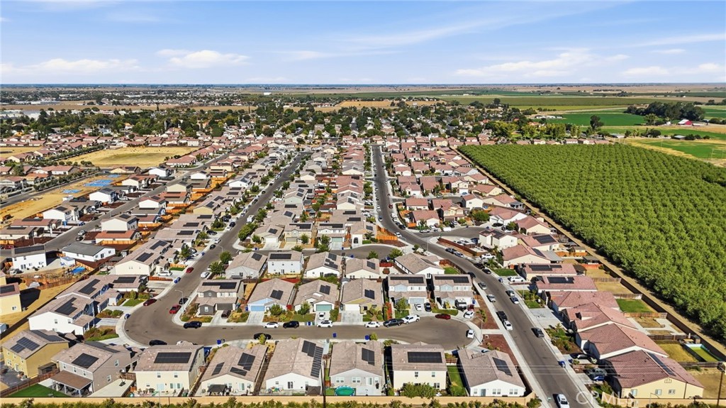 2010 Palazzo Court