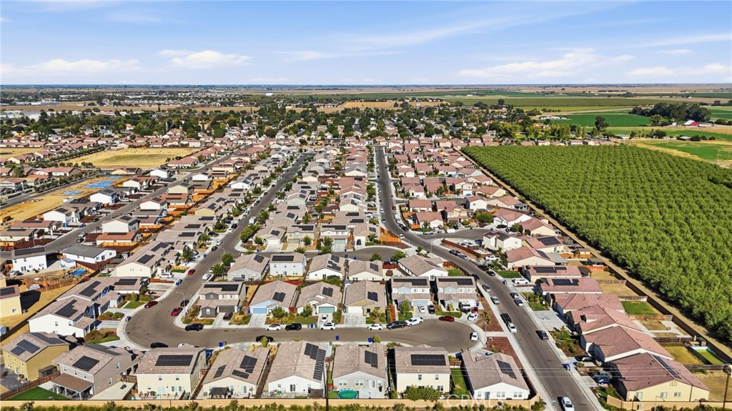 2010 Palazzo Court
