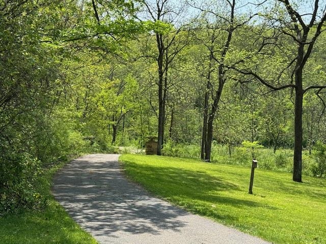 Paved driveway curving through leafy trees beside a green lawn and mailbox.