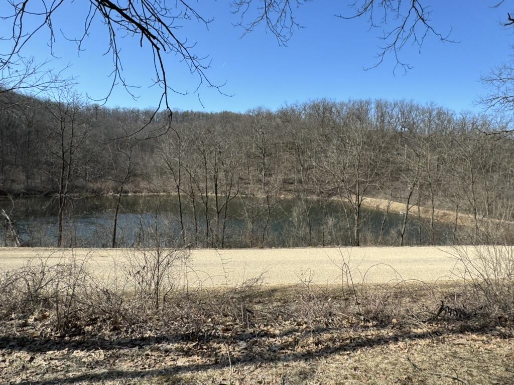 River beyond a roadside, framed by bare trees and a wooded hillside.