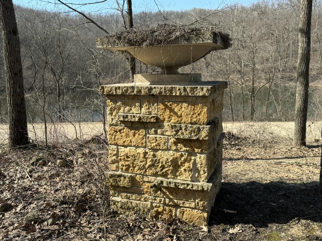 Stone outdoor structure with a metal hood in a leafless wooded yard, with a creek behind it.