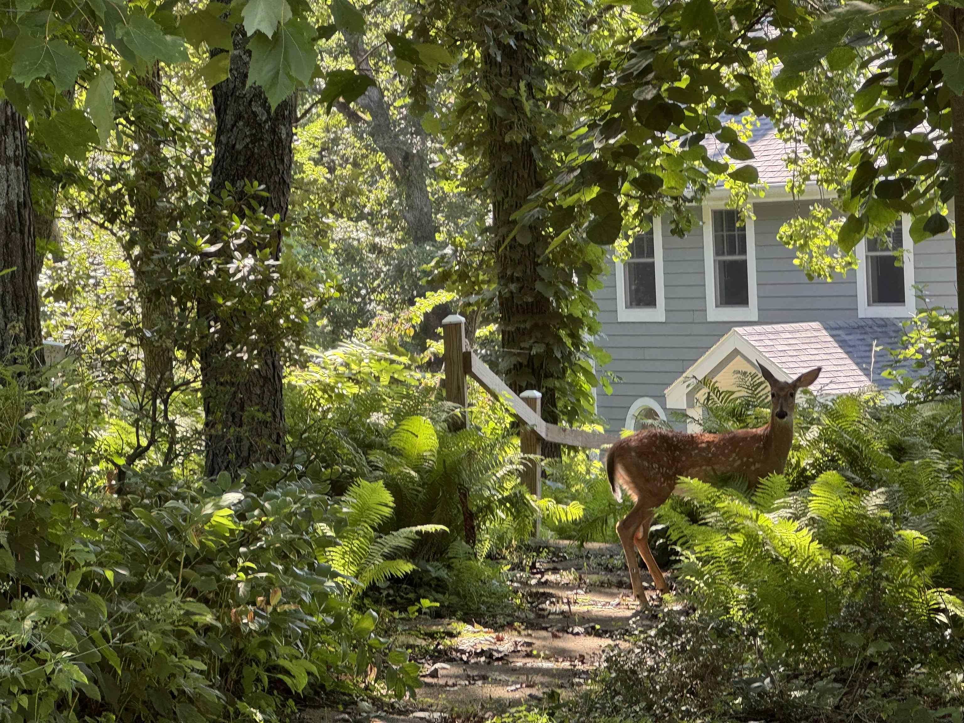 7724 Greenwood Road