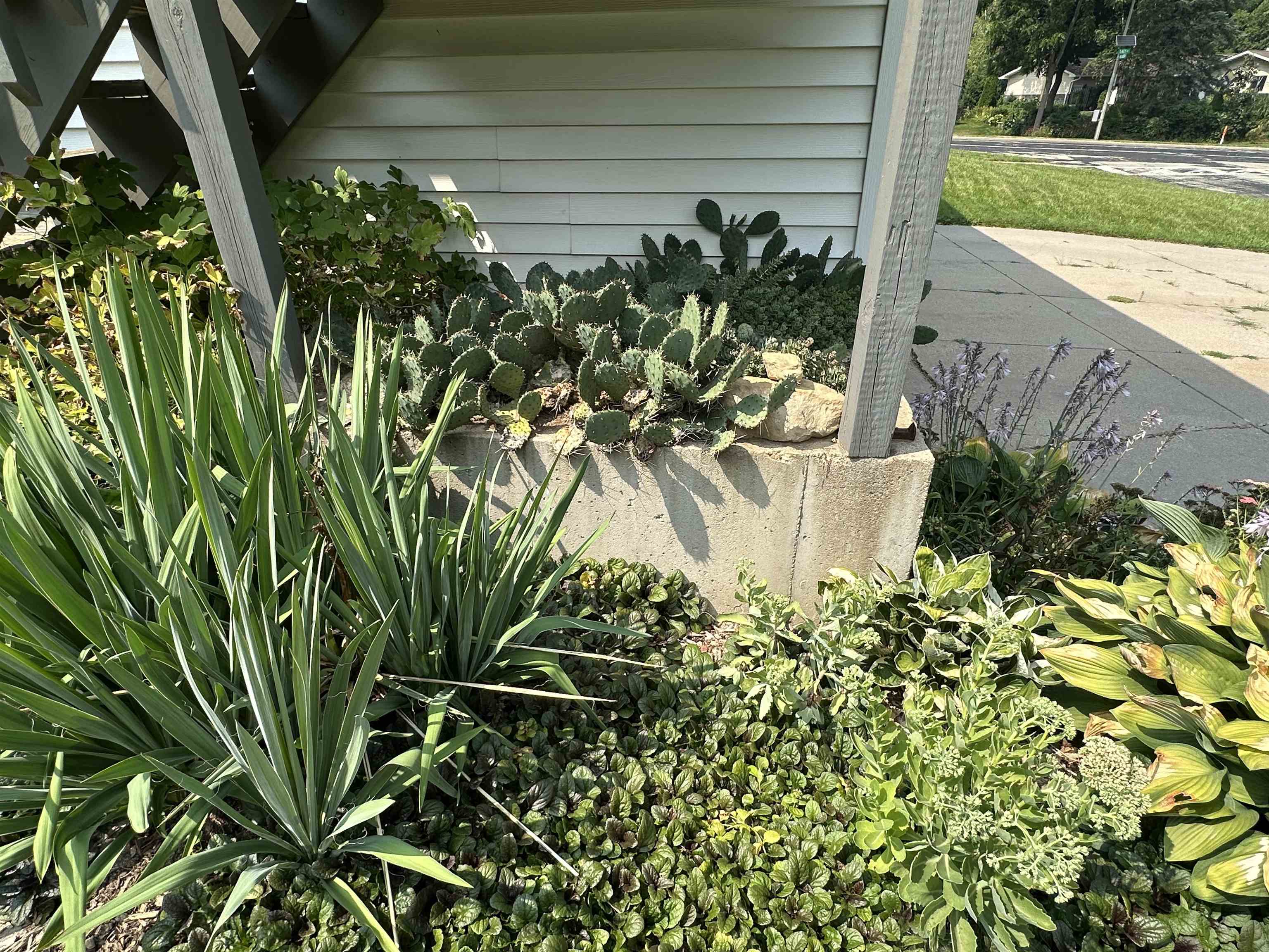2685 Aberdeen Court