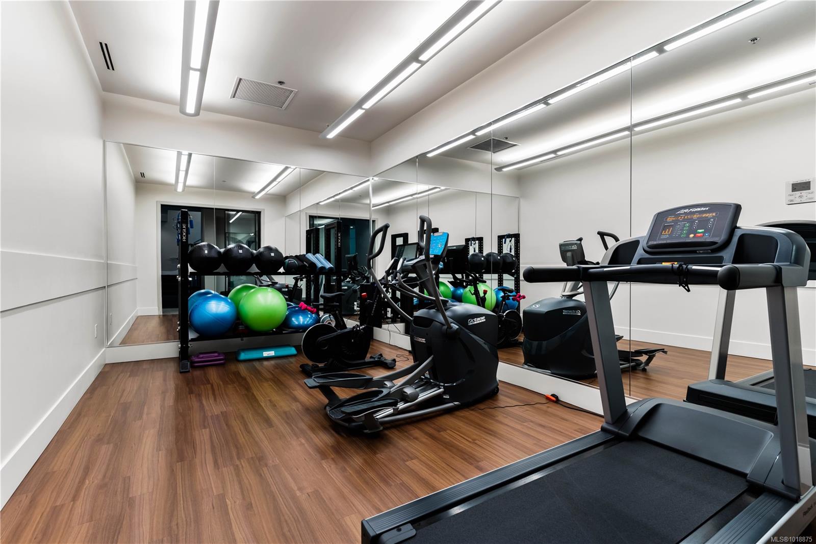 521 Courtney St # 209