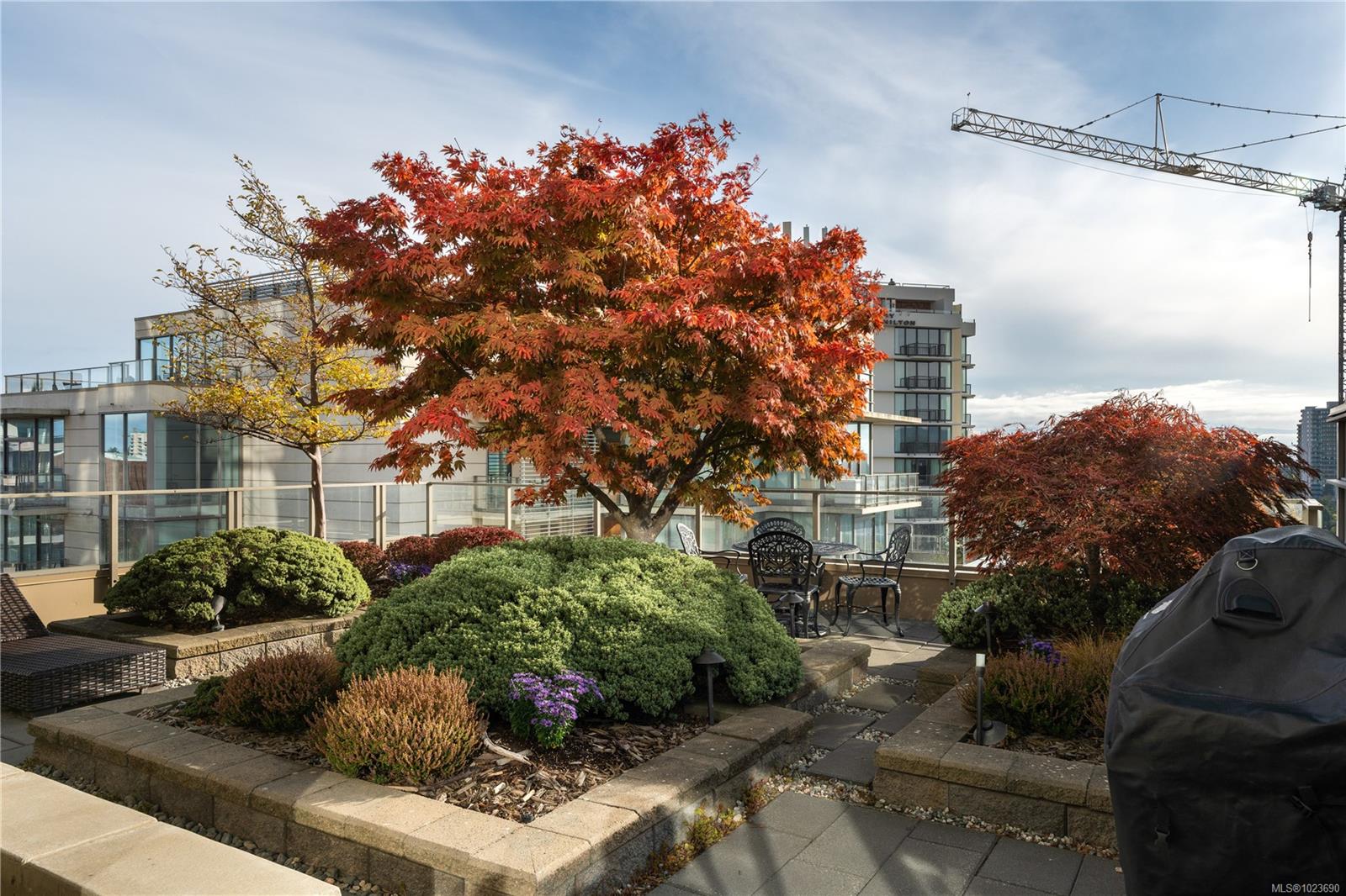 707 Courtney St # 1406