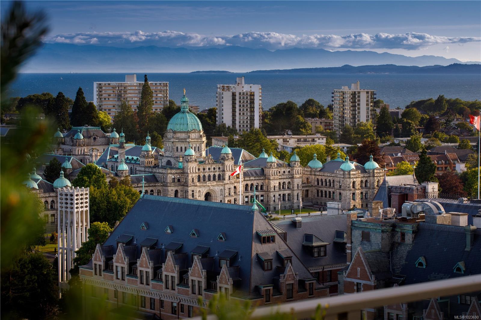 707 Courtney St # 1406