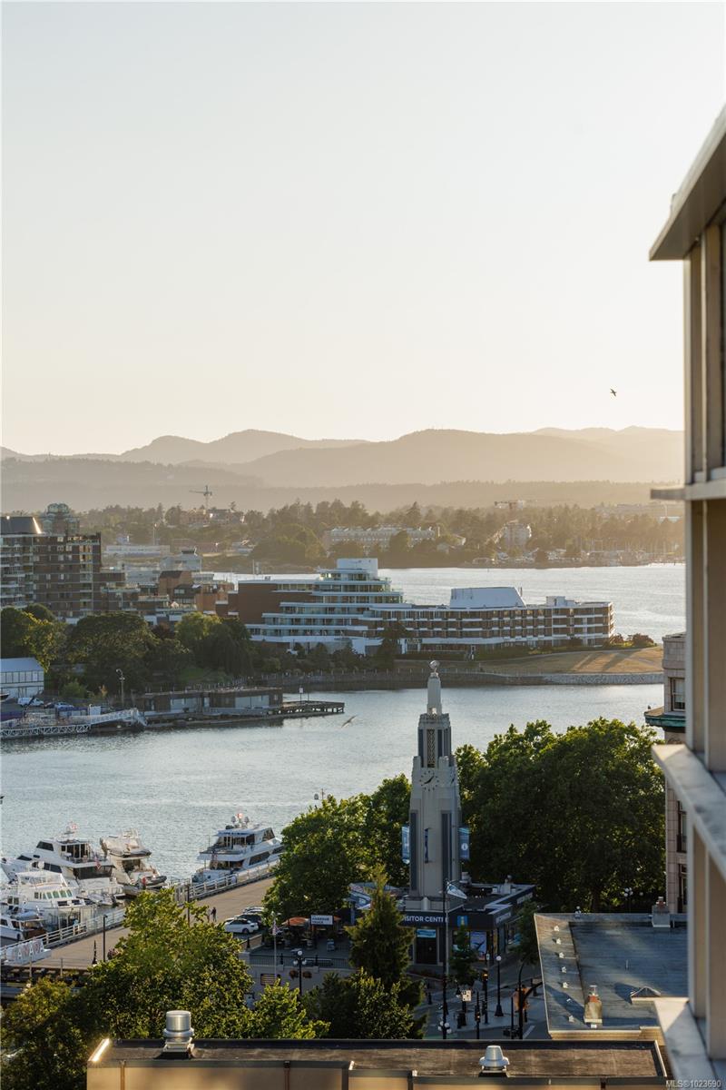 707 Courtney St # 1406