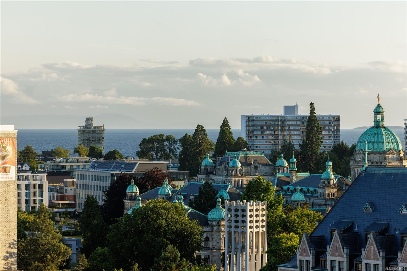 707 Courtney St # 1406