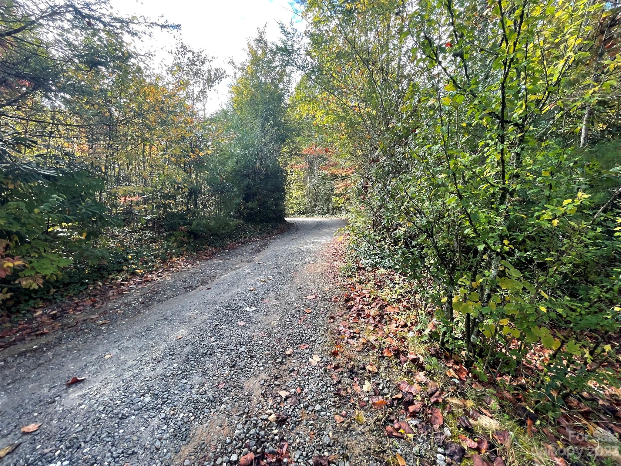 65 Red Bird Song Road